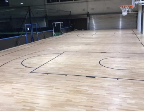 Terrain basket 3×3 Lausanne (Suisse)